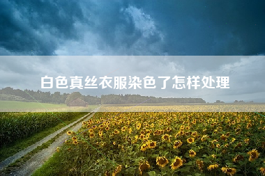 白色真丝衣服染色了怎样处理
