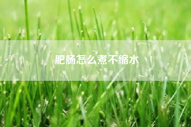 肥肠怎么煮不缩水