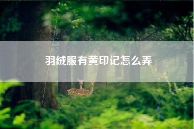 羽绒服有黄印记怎么弄