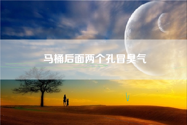 马桶后面两个孔冒臭气