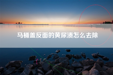 马桶盖反面的黄尿渍怎么去除