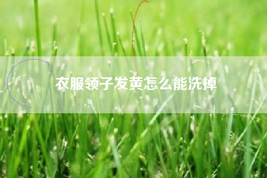 衣服领子发黄怎么能洗掉
