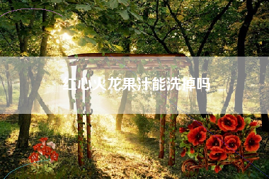 红心火龙果汁能洗掉吗