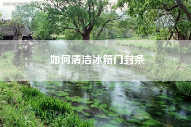 如何清洁冰箱门封条