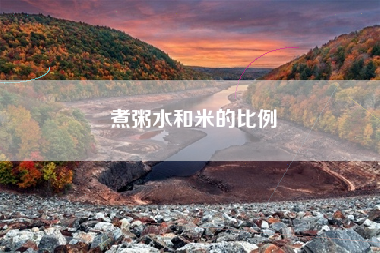 煮粥水和米的比例