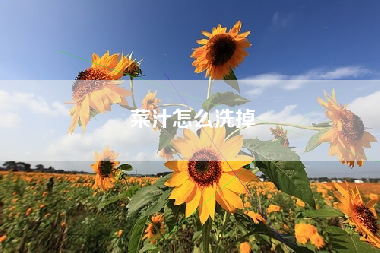 菜汁怎么洗掉