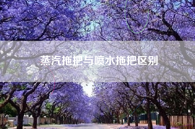 蒸汽拖把与喷水拖把区别