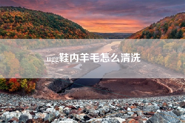 ugg鞋内羊毛怎么清洗