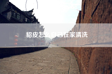 貂皮怎么自己在家清洗