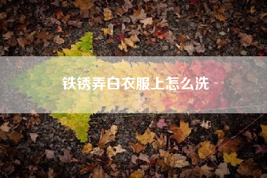 铁锈弄白衣服上怎么洗