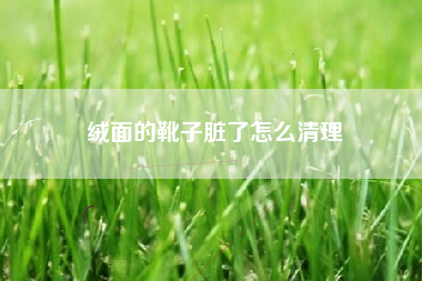绒面的靴子脏了怎么清理