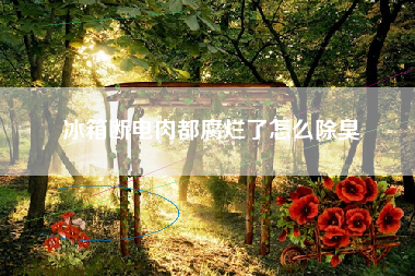 冰箱断电肉都腐烂了怎么除臭