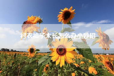 衬衣袖子太长怎么办小妙招