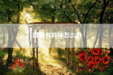 蹲厕有异味怎么办
