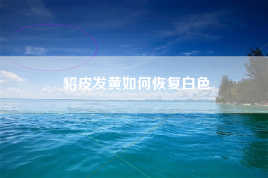 貂皮发黄如何恢复白色