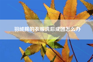 羽绒棉的衣服洗后成团怎么办