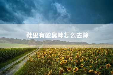 鞋里有酸臭味怎么去除