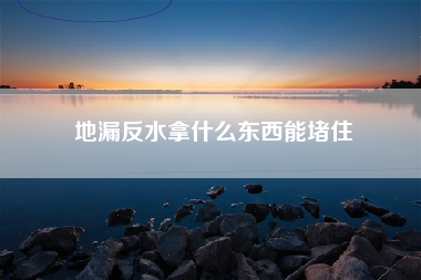 地漏反水拿什么东西能堵住
