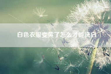 白色衣服变黄了怎么才能洗白