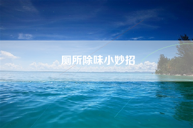 厕所除味小妙招