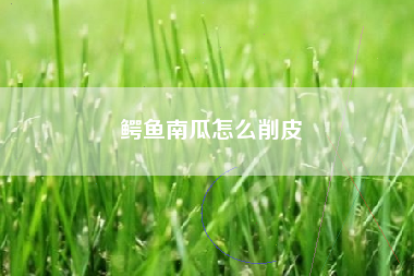 鳄鱼南瓜怎么削皮