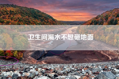 卫生间漏水不想砸地面