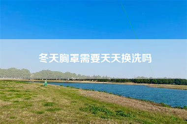 冬天胸罩需要天天换洗吗