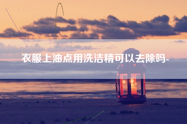 衣服上油点用洗洁精可以去除吗-