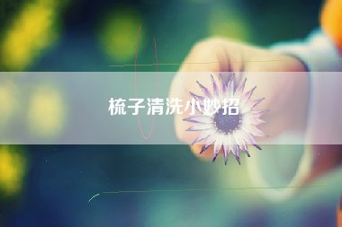 梳子清洗小妙招