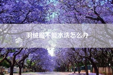 羽绒服不能水洗怎么办