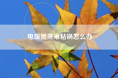 电饭煲蒸米粘锅怎么办