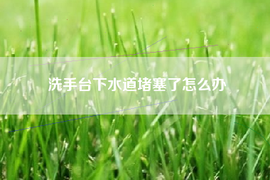 洗手台下水道堵塞了怎么办