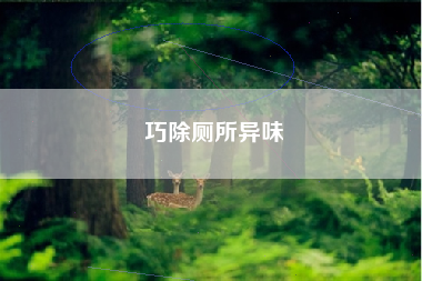 巧除厕所异味