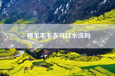 棉羊毛毛衣可以水洗吗