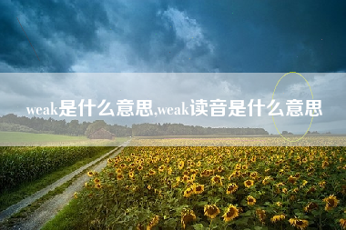 weak是什么意思,weak读音是什么意思