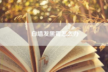 白墙发黑霉怎么办