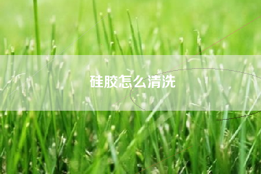 硅胶怎么清洗