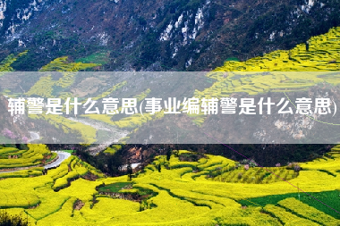 辅警是什么意思(事业编辅警是什么意思)