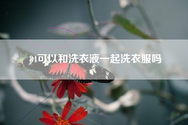 84可以和洗衣液一起洗衣服吗