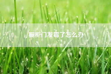 橱柜门发霉了怎么办
