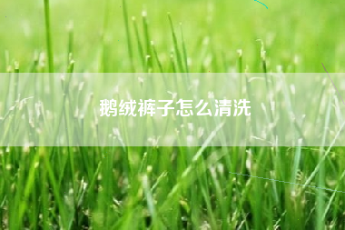 鹅绒裤子怎么清洗