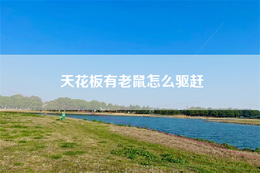 天花板有老鼠怎么驱赶