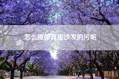 怎么擦掉真皮沙发的污垢