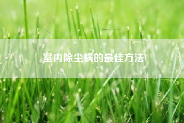 室内除尘螨的最佳方法