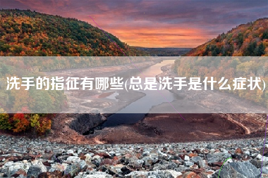 洗手的指征有哪些(总是洗手是什么症状)