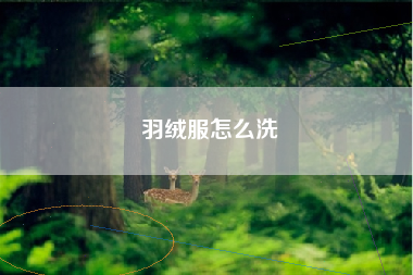 羽绒服怎么洗