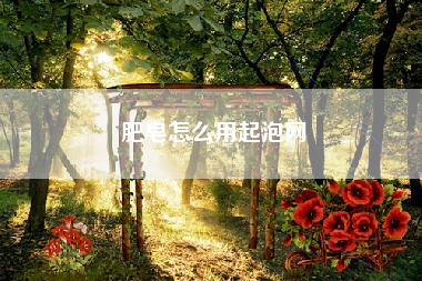 肥皂怎么用起泡网