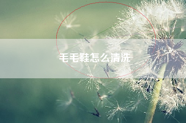 毛毛鞋怎么清洗