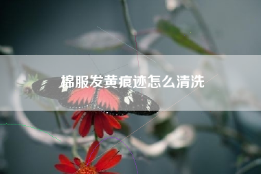 棉服发黄痕迹怎么清洗
