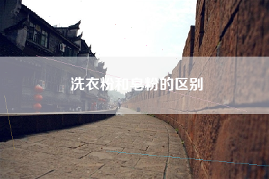 洗衣粉和皂粉的区别